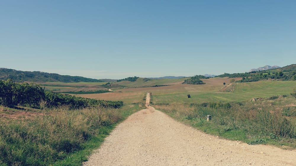 One path. Still walking. Still becoming.